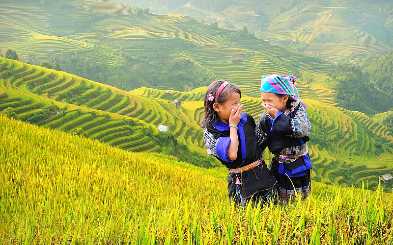 mùa xuân ở tây bắc có khí hậu mát mẻ