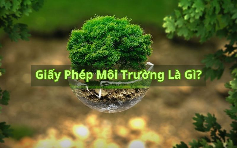 giấy phép môi trường là gì