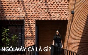 ngói vảy cá là gì