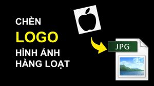 chèn watermark vào nội dung