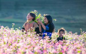 mùa xuân hà giang