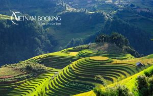 Việt Nam Booking