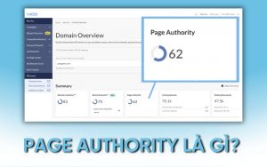 Page Authority