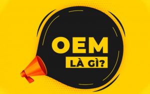 hàng OEM là gì