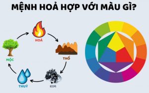 Kết hợp hướng xe và màu xe phù hợp
