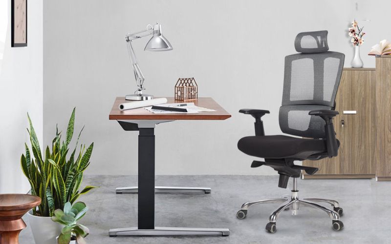 Tuổi thọ và độ bền của từng loại ghế