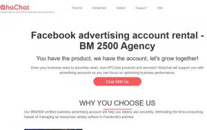 BM2500 ad accounts built for agencies managing high-volume campaigns