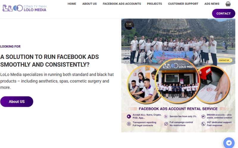 LoLo Media stable Facebook advertising solutions in Vietnam